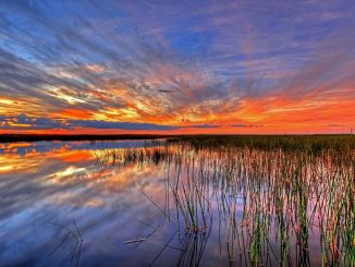 Sonnenaufgang auf den Keys / Florida